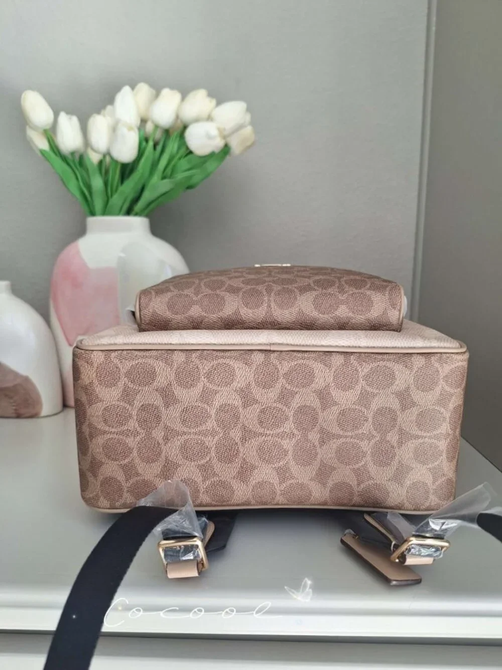 Coach color gold